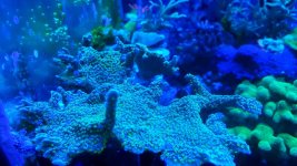 20160228_145722.jpg