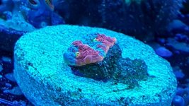 rainbow chalice (4).jpg