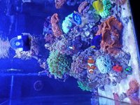 20161102_164619.jpg