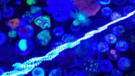 20160228_115737.jpg