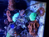 20161102_164613.jpg