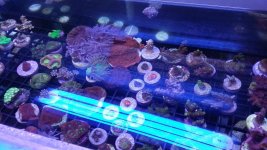 20160226_062554.jpg