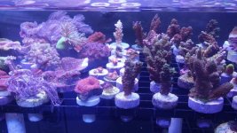 20160226_062441.jpg