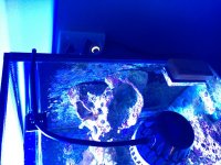 IMG_0884.jpg
