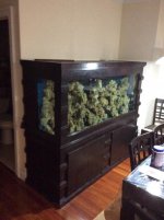 IMG_0312.jpg