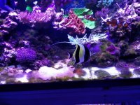 IMG_20151117_162231.jpg