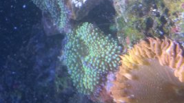 20151110_231214.jpg