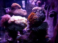 20160718_072614.jpg