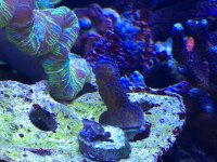 IMG_1235.JPG