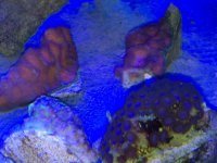 IMG_2196.jpg