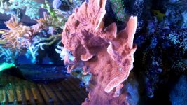 20161001_154357.jpg