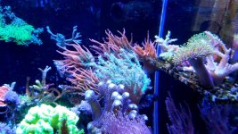 20161001_154527.jpg