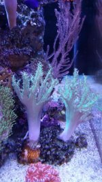 20161001_182314.jpg