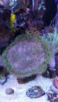 20161001_182318.jpg
