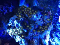 IMG_0887.jpg
