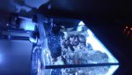 20160718_154052.jpg