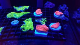 20160430_120248.jpg