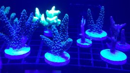 20160430_120153.jpg