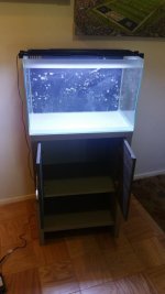 20160430_113151.jpg