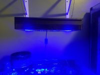 20161106_211355.jpg