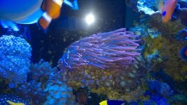 WP_20160228_005.jpg