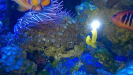 WP_20160228_006.jpg