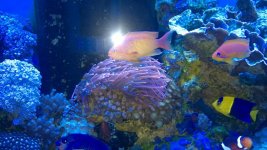 WP_20160228_009.jpg