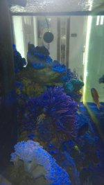 WP_20160229_002.jpg