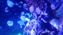 20160228_195831.jpg