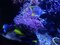 IMG_4386.jpg