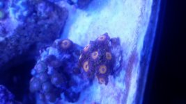 20160228_195820.jpg