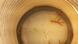 20160430_131254.jpg
