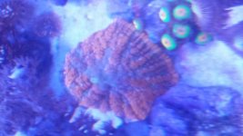 20160228_195803.jpg
