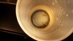 20160430_131246.jpg
