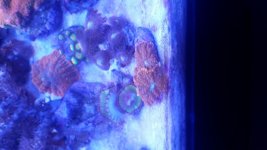 20160228_195757.jpg