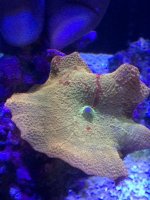 IMG_5399.jpg