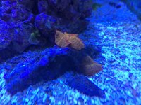 IMG_5459.jpg
