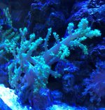 IMG_8256.jpg
