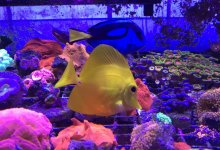 IMG_6442.jpg