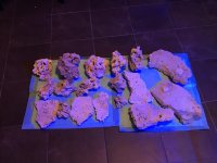 IMG_0012.jpg