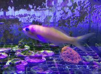 IMG_6566.jpg