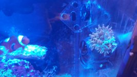20170118_205407.jpg