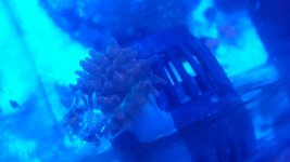 20170118_205422.jpg