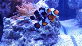 20160115_165715.jpg