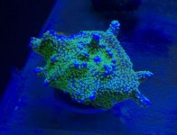 IMG_0656.jpg