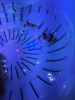 IMG_0235.JPG
