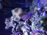 IMG_0824.jpg