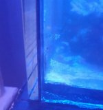 20161108_211927-1.jpg