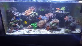 20160720_175309.jpg