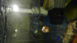 20160301_130135_resized.jpg
